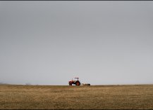 Virginia