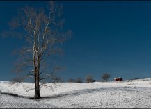 Virginia