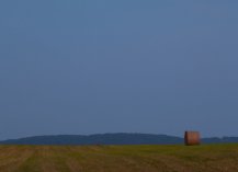 Virginia